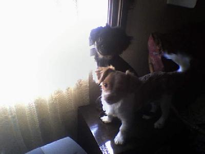 Foto de Magui