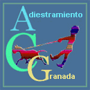 Adiestramiento canino Granada